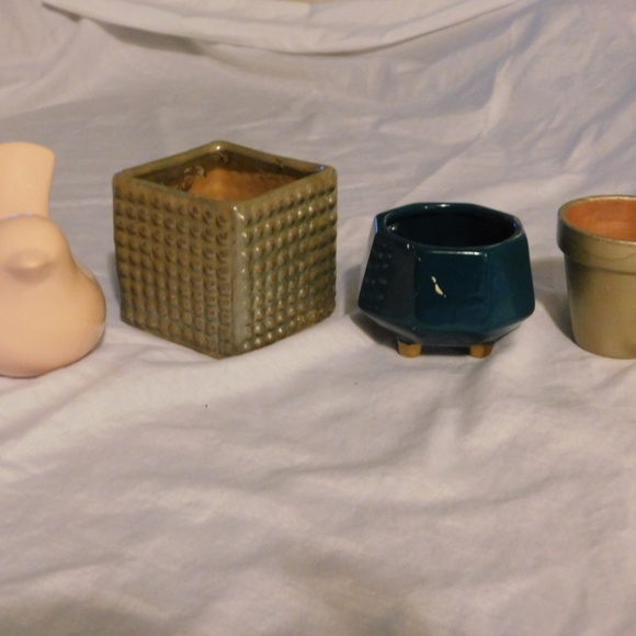 Succulent or Cacti Mini Pots Collection - Picture 3 of 5